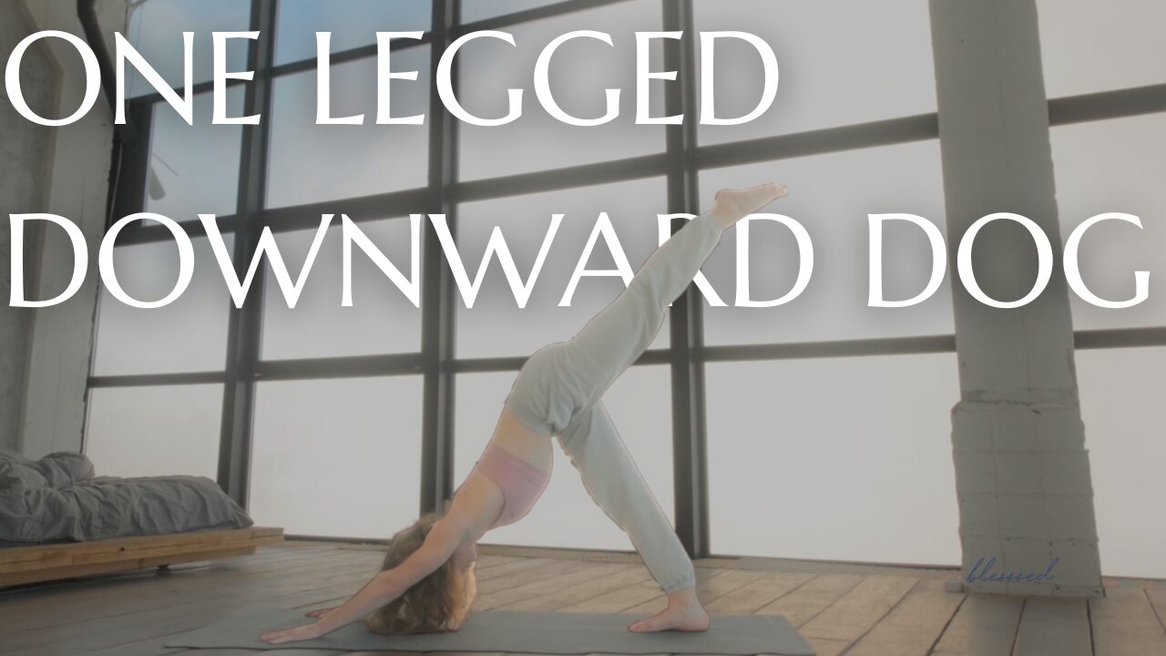 THREE LEGGED DOWNWARD DOG 